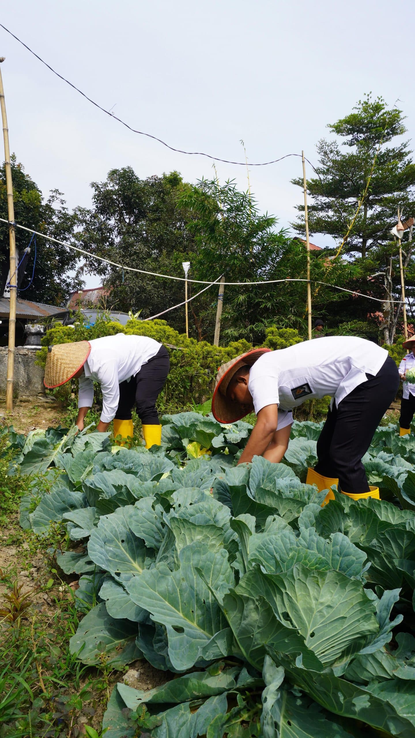 IMG 20250827 WA0017 scaled